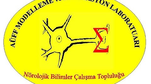 İST 107 Bilgisayar Programlama I Ders 11 Algoritma Tasarımı ve Programlama Devam