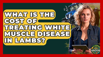 What Is The Cost Of Treating White Muscle Disease In Lambs? - The World of Agriculture
