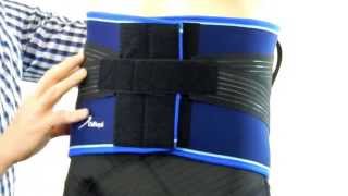 DeRoyal Pro Stable Back Support