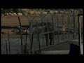 Trailer del Color de los Olivos.flv