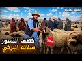الله على سوق الإثنين كهف النسور السلالة الحمراء من1500حتى 3000 درهم واش فعلا يستاهل