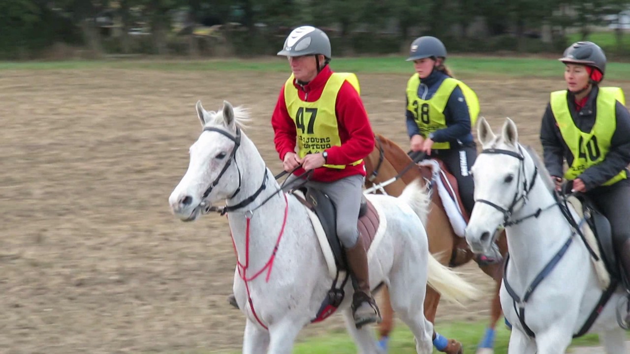 Endurance équestre les 2 jours de Montcuq 2016, CEI***
