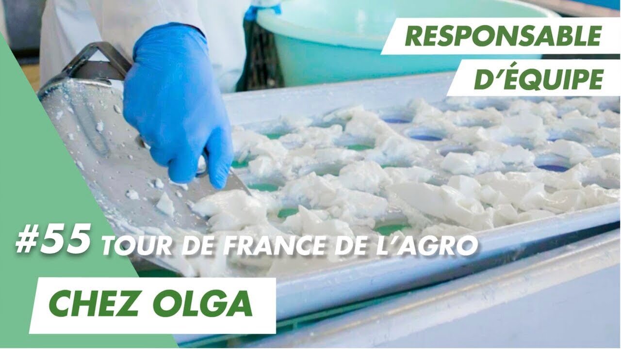 Je fabrique le fromage de chèvre frais Petit Billy avec Anthony chez Olga qui recrute en Bretagne