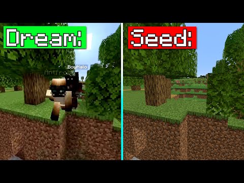 @Dream 's Minecraft