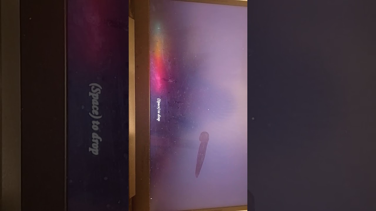 28 февраля 2026 г.