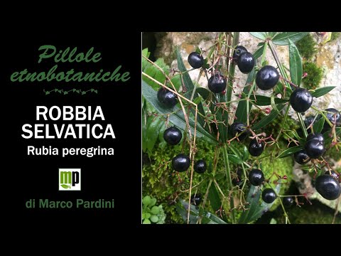 Video: Quale farmaco appartiene alla famiglia delle rubiaceae?