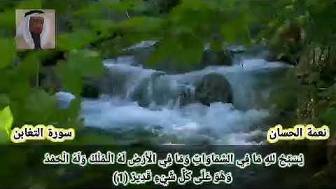 سورة التغابن نعمة الحسان
