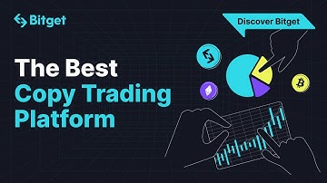 The BEST Copy Trading Platform | Discover Bitget