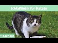 #15 | 11 Stunden 🐱Schlafmusik für Katzen 🐱Entspannende Musik für Katzen und Kätzchen 🐱