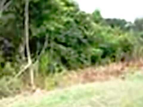 3 C Theodosia Drive, Spartanburg, SC home video tour
