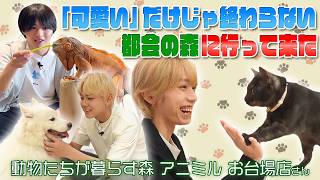 【動物ふれあい企画🐕】「可愛い」だけじゃ終わらない 都会の森に行ってきた🌳✨【フルーツバスケット#101】