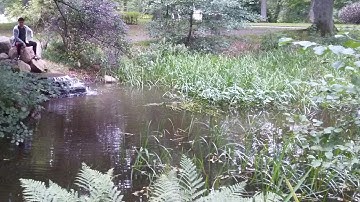 Beating your Prototype 2 scores because NEW PROTOTYPE LEAKS