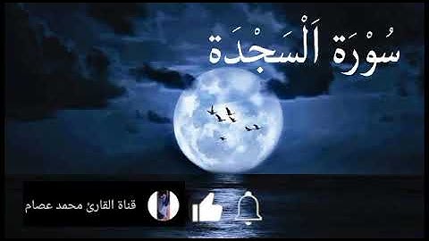 سورة السجدة | القارئ محمد عصام | surat alsajda