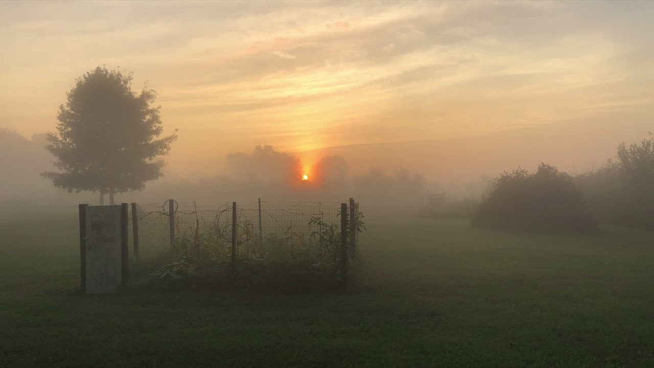 Searching Through the Universe - Doug Wheeler