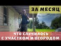 Во что превратился наш участок за месяц. Часть 1. Просто Константиновы.