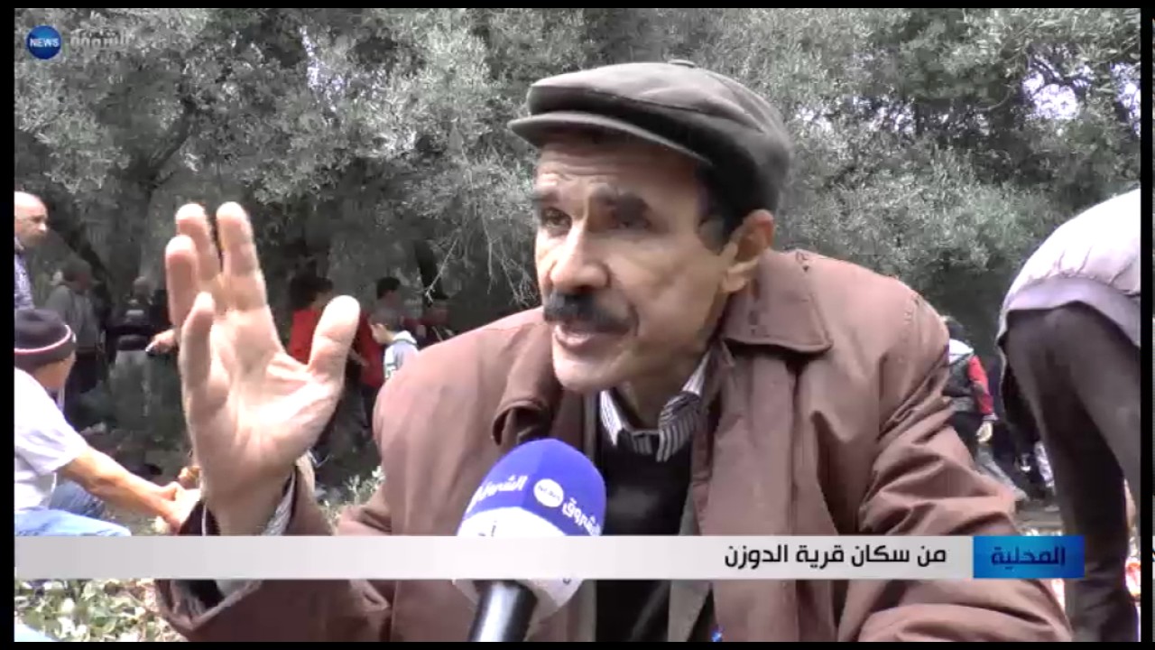 سكيكدة: عيد الزيتونة أو 