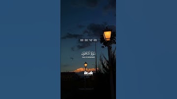 سورة المنافقون بصوت القارئ علاء عقل 🎧♥️🎧