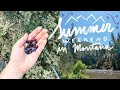 a summer weekend in montana | huckleberry picking, nature drives + reacting to folklore