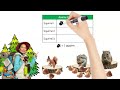 Data Representation and Interpretation Quiz