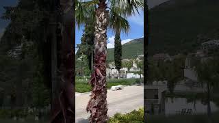 Montenegro. Tivat. Summer. Черногория. Город Тиват