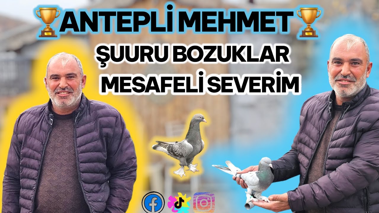 ANTEPLİ MEHMET Kuşculuk serüveni ve şuuru bozuklar iyi seyirler ✅️ 