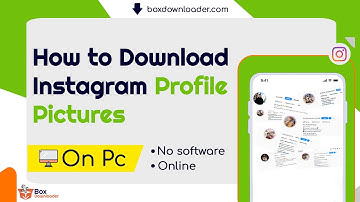 How to Download Instagram Profile Pictures in HD | Box Downloader Tutorial