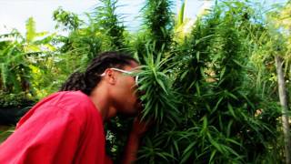 Miky Ft Nicy - Weed Mars 2011