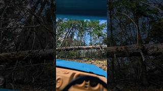 RC Car POV Offroad Feels Real!#rccrawler