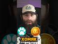 НОВЫЙ ПРОЕКТ PAWS #paws #cats  #крипта