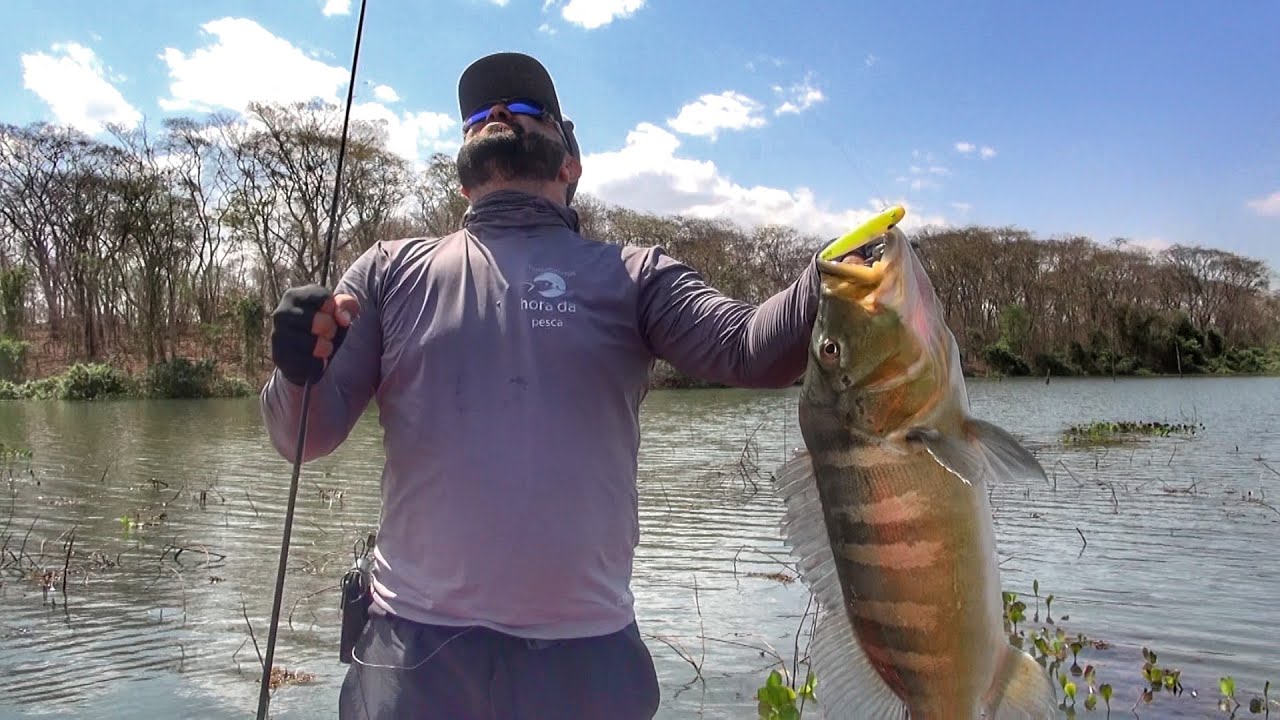 ESSA ISCA NUNCA FALHA