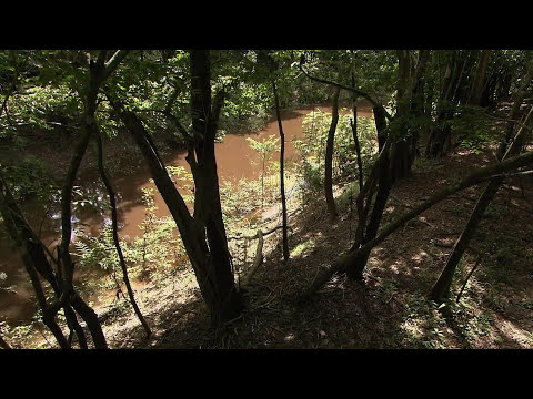 Видео: Амазонка HD