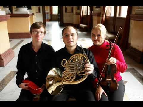 The Brahms Trio Prague: J. Brahms, H. von Herzogenberg, A. Downes