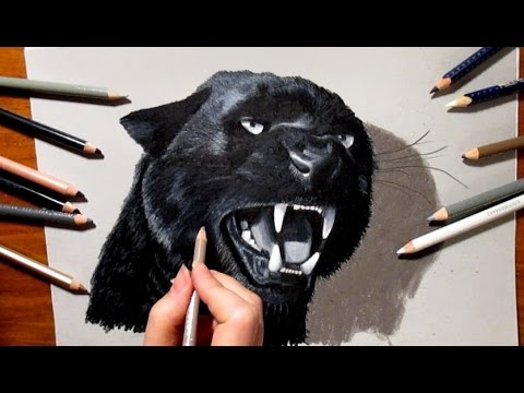  3D  Pencil Drawing Roaring Black Panther Speed Draw 