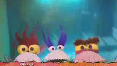 Chowder Introduction