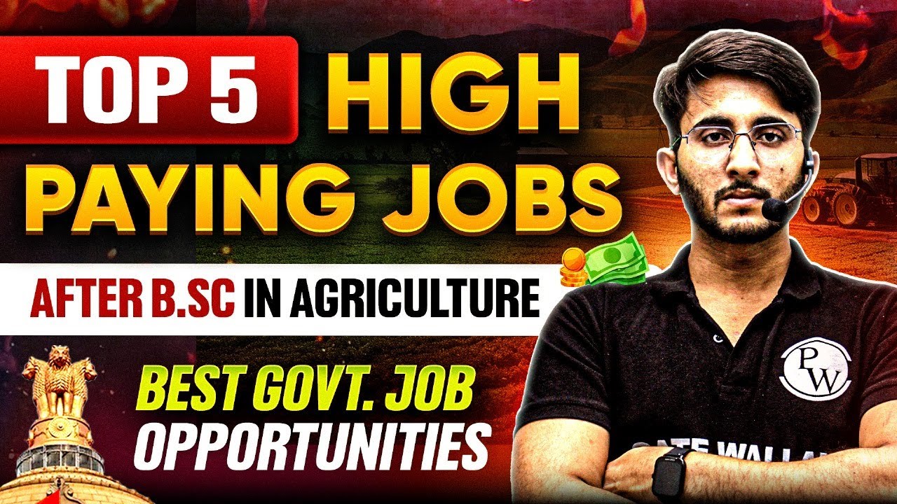 TOP 5 HIGH PAYING Government JOB Opportunities After B.Sc in ...
