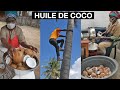Comment est fabriquée l'HUILE de COCO ? (Au Mozambique, Afrique)