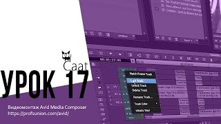 Caat / Урок 17. Меню трек панели Таймлинии в Avid Media Composer.