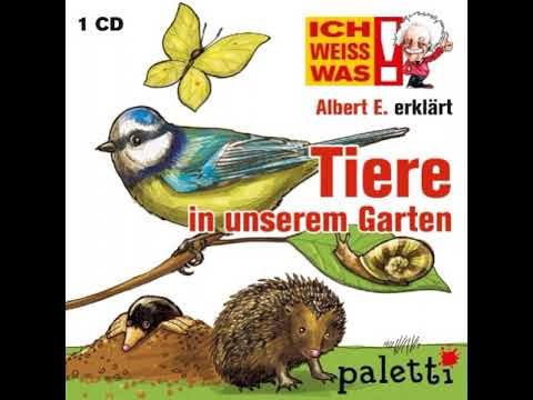 Video: Beobachten von Wildtieren im Hinterhof – Wie man Tiere in Gärten sicher genießen kann