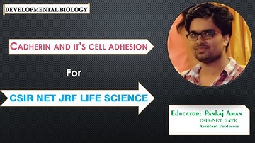 Cadherin and cell adhesion I CSIR-NET LifeScience