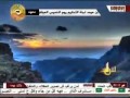 شيله شديد الباس 