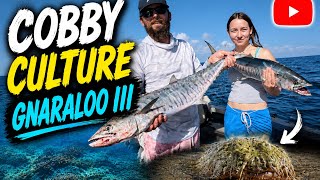 Gnaraloo Station Part III- Did We Bag Out?