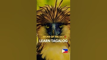 TAGALOG WORD OF THE DAY🤔💭DISCOVER THE BEAUTY OF THE FILIPINO LANGUAGE VIDEO 5