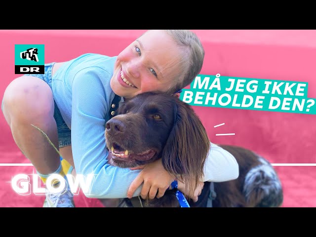 De er Lamme Kro Kan Magda overtale sine forældre til at få en hund? - YouTube