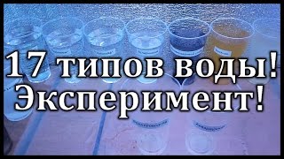 Эксперимент! Всхожесть Семян В 17 Типах Воды!