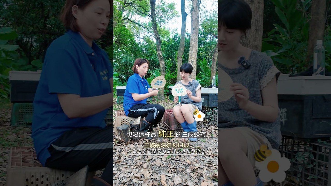 台灣的蜂農真的很了不起 #vlog日常 #旅行 #三峽 #台灣旅行 縮圖