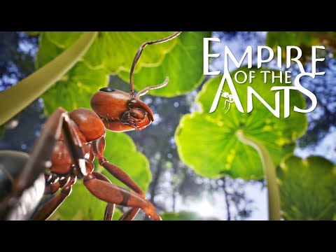 Стратегия про муравьев Empire of the Ants с фотореалистичной графикой выйдет 7 ноября: с сайта NEWXBOXONE.RU