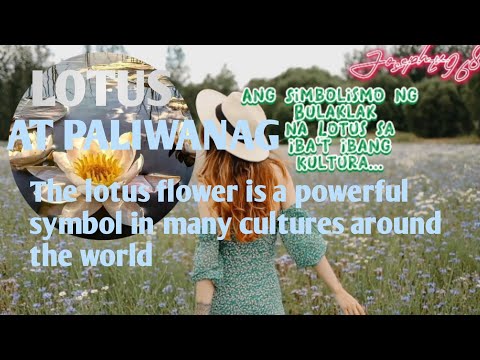 Video: Ang mga bulaklak ng lotus ay mga banal na simbolo ng kadalisayan at buhay