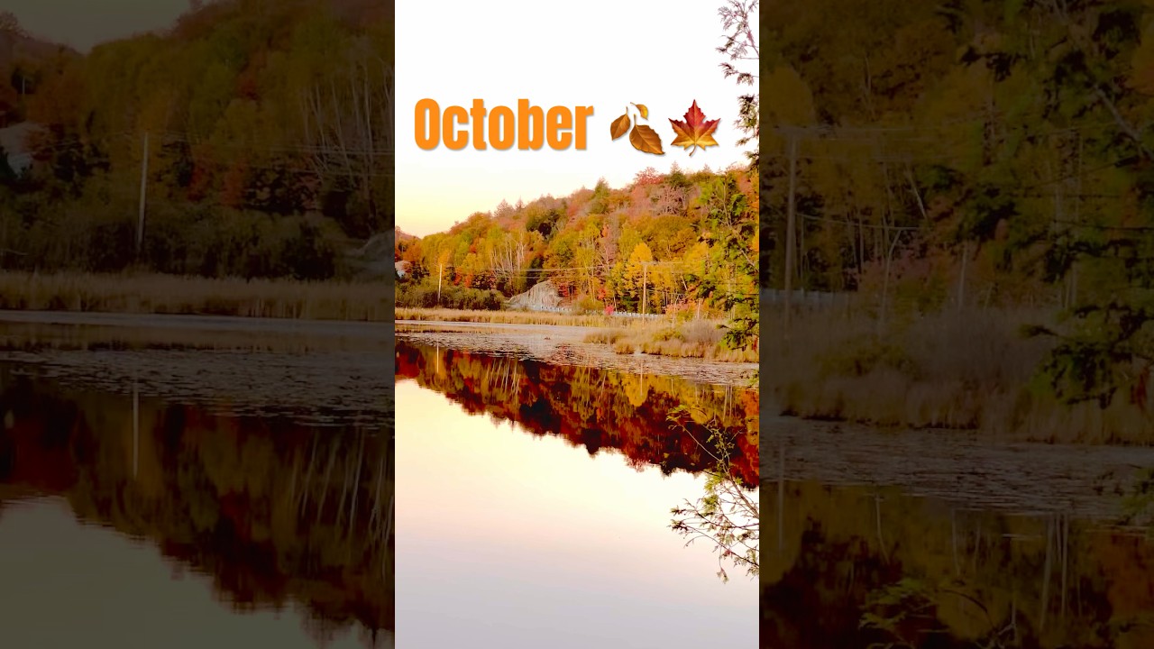 Autumn 🍂 #autumn #october #shorts #ytshorts