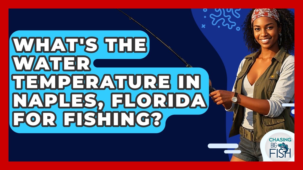 What's The Water Temperature In Naples, Florida For Fishing? - Chasing Big Fish