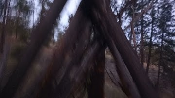 Sasquatch Interior B.C. "Dusk walk ,,New structure! Home group"